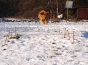 Aportov�n�