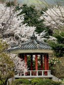 Republic of Korea, South Korea