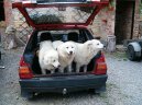 Slovensk� �uva�