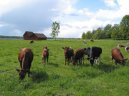Slo�en� �v�dsk�ch bylin