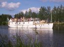�v�dsko