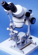 Um�l� inseminace