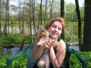 Jork��rsk� terier, Yorkshire Terrier,