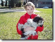 �icu, Shih-Tzu