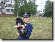�icu, Shih-Tzu
