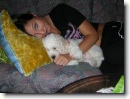 Bichon � poil fris�, Bichon Frise