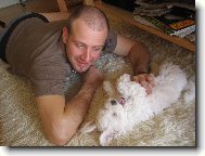 Bichon � poil fris�, Bichon Frise