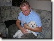 Bichon � poil fris�, Bichon Frise