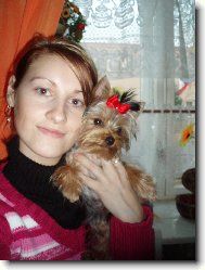 Jork��rsk� terier, Yorkshire Terrier,
