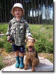 Welsh Terrier