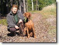 R�vidsz�r� Magyar Vizsla, Hungarian Short-haired Pointing Dog