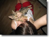 Sat�nek