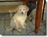 Str� domu