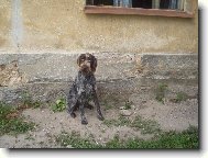 Barry od Hlavn�ku