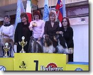�icu, Shih-Tzu