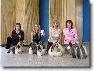 �icu, Shih-Tzu