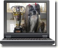 �icu, Shih-Tzu