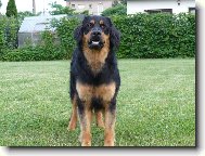 Str� domu