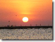 Egyptsk� arabsk� republika