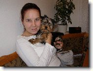 Jork��rsk� terier, Yorkshire Terrier,