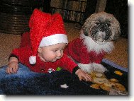 �icu, Shih-Tzu