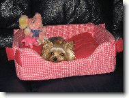Jork��rsk� terier, Yorkshire Terrier,