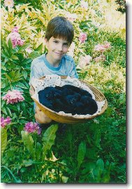 Deutscher spitz - Grossspitz, German Spitz � Giant Spitz