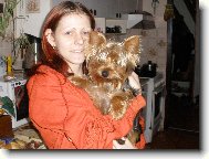 Jork��rsk� terier, Yorkshire Terrier,