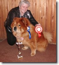 trofeje ze zahrani��