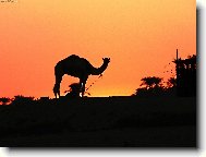 Egyptsk� arabsk� republika