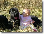 M�m t� r�d,m�m t� r�da....