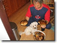 houbov� hody