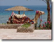 Egyptsk� arabsk� republika