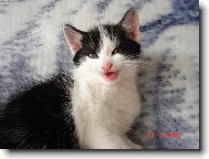 mal� up�rek