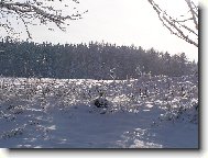 Zima na Vyso�in�