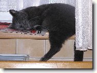 odpo�inek