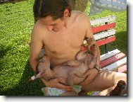 Perro Sin Pelo del Per�