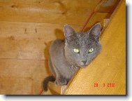 �edou