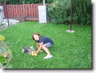 Jork��rsk� terier, Yorkshire Terrier,