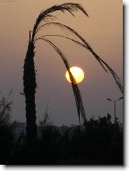 Egyptsk� arabsk� republika