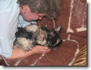 Chinese Crested Dog