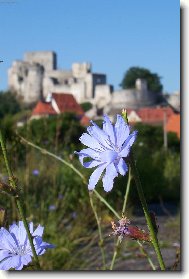 Rab�
