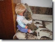 �icu, Shih-Tzu