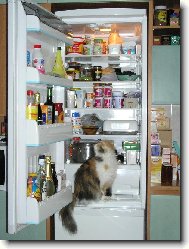 I�m hungry...