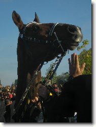 Velk� Pardubick� 06