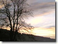 Velk� Karlovice