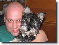 Zwergschnauzer, Miniature Schnauzer