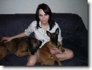 Belgian shepherd malinois \(Dog standard\)