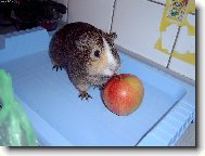 M�j Ry��nek 2