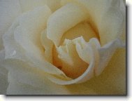 Uvnit� r��e
